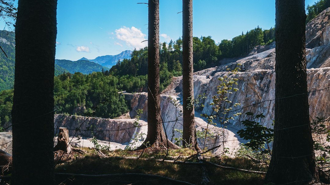 Rock quarry framed by forest, illustrating the relationship between mining footprints and surrounding habitat